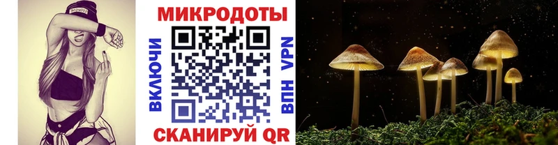 Галлюциногенные грибы мицелий дарнет шоп Чердынь